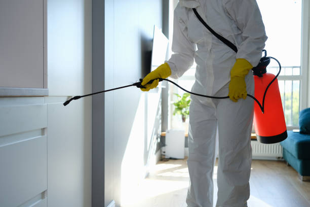 Best Mold Remediation  in Gothenburg, NE