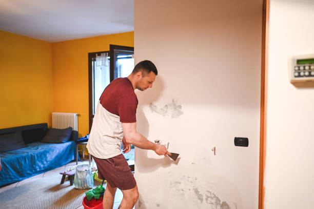 Best Home Mold Removal  in Gothenburg, NE
